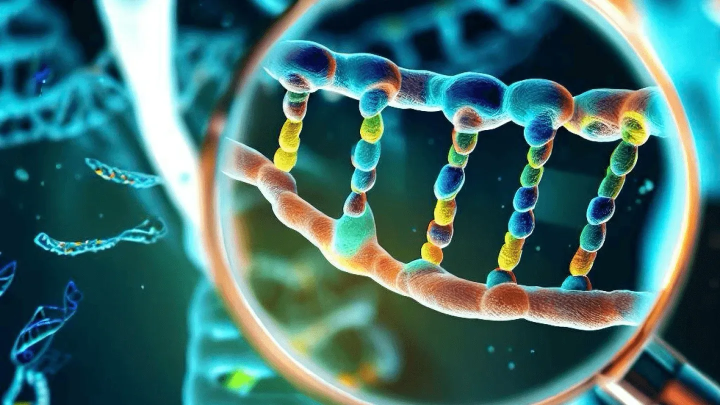 Understanding the Difference Between Genetics and Genomics