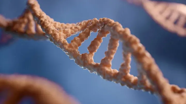 Democratizing Genomic Research: nf-core and the Power of No-Code, Reproducible Pipelines