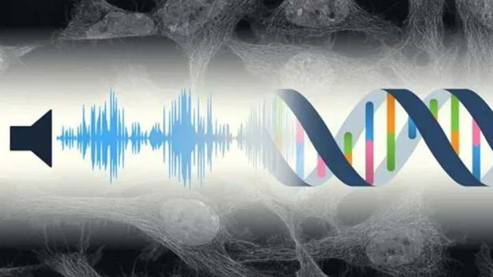 Hearing Loss Explained: Syndromic, Non-Syndromic, and the Power of Bioinformatics