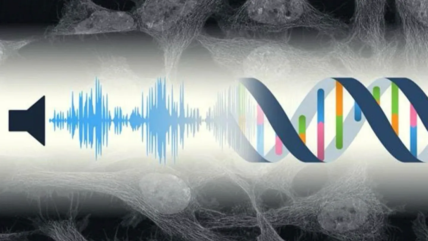 Hearing Loss Explained: Syndromic, Non-Syndromic, and the Power of Bioinformatics