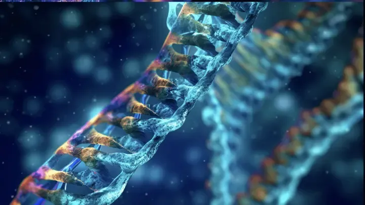 Transcriptomics: on genes and diseases with Bionl.ai